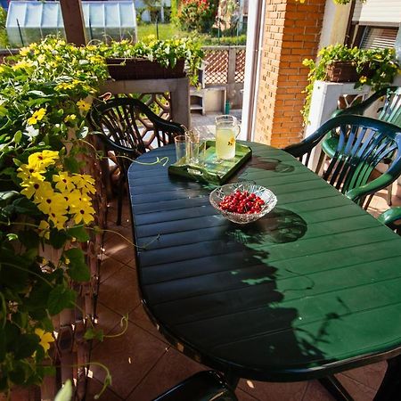 Apartment Sovdat Tolmin Exteriér fotografie